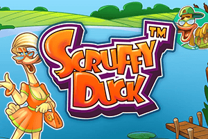 Scruffy Duck logo